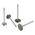 1955-1957 Ford 292-312 Y-Block Exhaust Valve