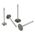 1955-1959 Ford 292-312 Y-Block Intake Valves