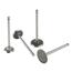 1957-1959 Ford 292-312 Y-Block Intake Valve 1957-1959 Ford 292-312 Y-Block Intake Valve