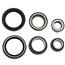 Bearing-Seal Kit for Two Mustang II Brake Rotors Bearing-Seal Kit for Two Mustang II Brake Rotors
