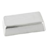 25 Lb. Lead Ballast