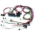 Painless Wiring 60509 1999-2002 GM LS1 Engine Harness, Extended