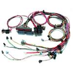 Painless Wiring 60509 1999-2002 GM LS1 Engine Harness, Extended