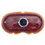 1942-1948 Ford Blue Dot Tail Light Lens, Passenger Car 1942-1948 Ford Blue Dot Tail Light Lens, Passenger Car