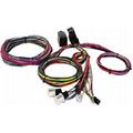 Economy 12 Circuit Wiring Harness