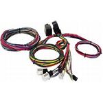 Economy 12 Circuit Wiring Harness