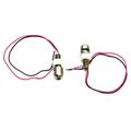 Stainless Steel Lighted License Plate Bolts
