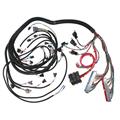 Speedway GM Engine Wiring Harness, 1999-02 LS1