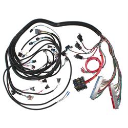 Speedway GM Engine Wiring Harness, 1999-02 LS1