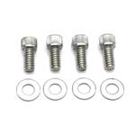 Chevy Flywheel Cover Bolt Kit, Stainless Steel