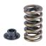 Speedway High Lift Spring Kit, 1.253 Inch O.D. Speedway High Lift Spring Kit, 1.253 Inch O.D.