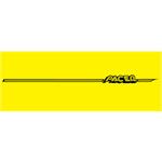 AMF Generic Pacer 1970-74 Graphic