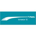 AMF Star Grille Jet Sweep 1960 Graphic