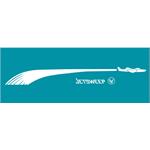 AMF Star Grille Jet Sweep 1960 Graphic