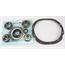 New 9 Inch Ford Carrier Housing 3.25 Inch Bearing Kit New 9 Inch Ford Carrier Housing 3.25 Inch Bearing Kit