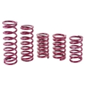 Eibach Rear Racing Springs, 5 x 13 Inch