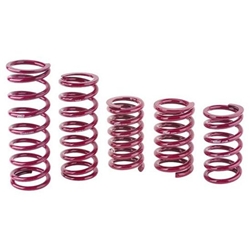 Eibach Rear Racing Springs, 5 x 13 Inch