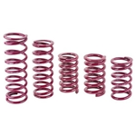 Eibach Rear Racing Springs, 5 x 13 Inch