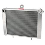 Spike Cage Mount Radiator