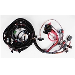 Speedway 1994-1997 LT1 Engine Wiring Harness