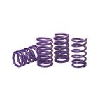 Tru-coil Spring 5