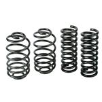 1964-67 Chevelle Eibach Springs