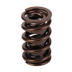 Comp Cams Valve Spring 1.55 Set