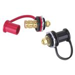 Remote Battery Terminals
