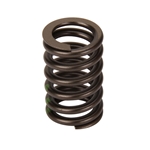 GM 602 Valve Springs Set
