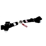 Simpson Bolt-In Lap Belt - Cam Lock Pull Down