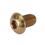 Bert Button Head Screw